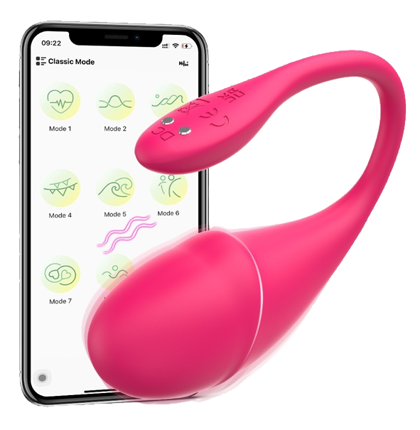 Remote-Controlled Vibrators